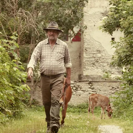 Schlosswirts Wohnmobilstellplatz Und Schaeferwagen Kamp alanı Dollach