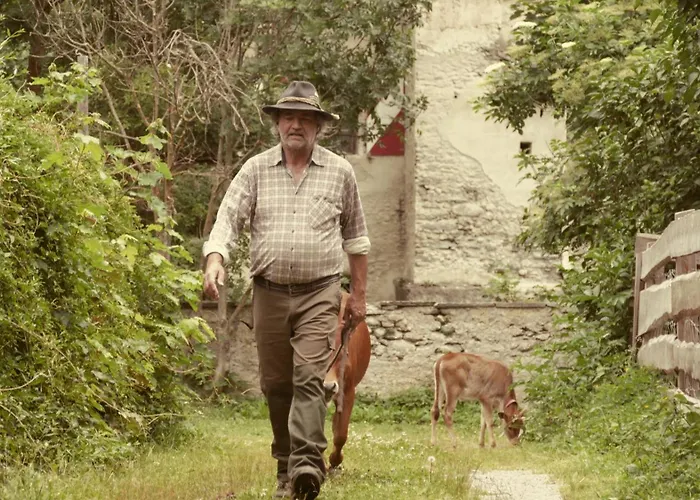 Schlosswirts Wohnmobilstellplatz Und Schaeferwagen Kemping Dollach